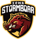 Iowa Stormboar